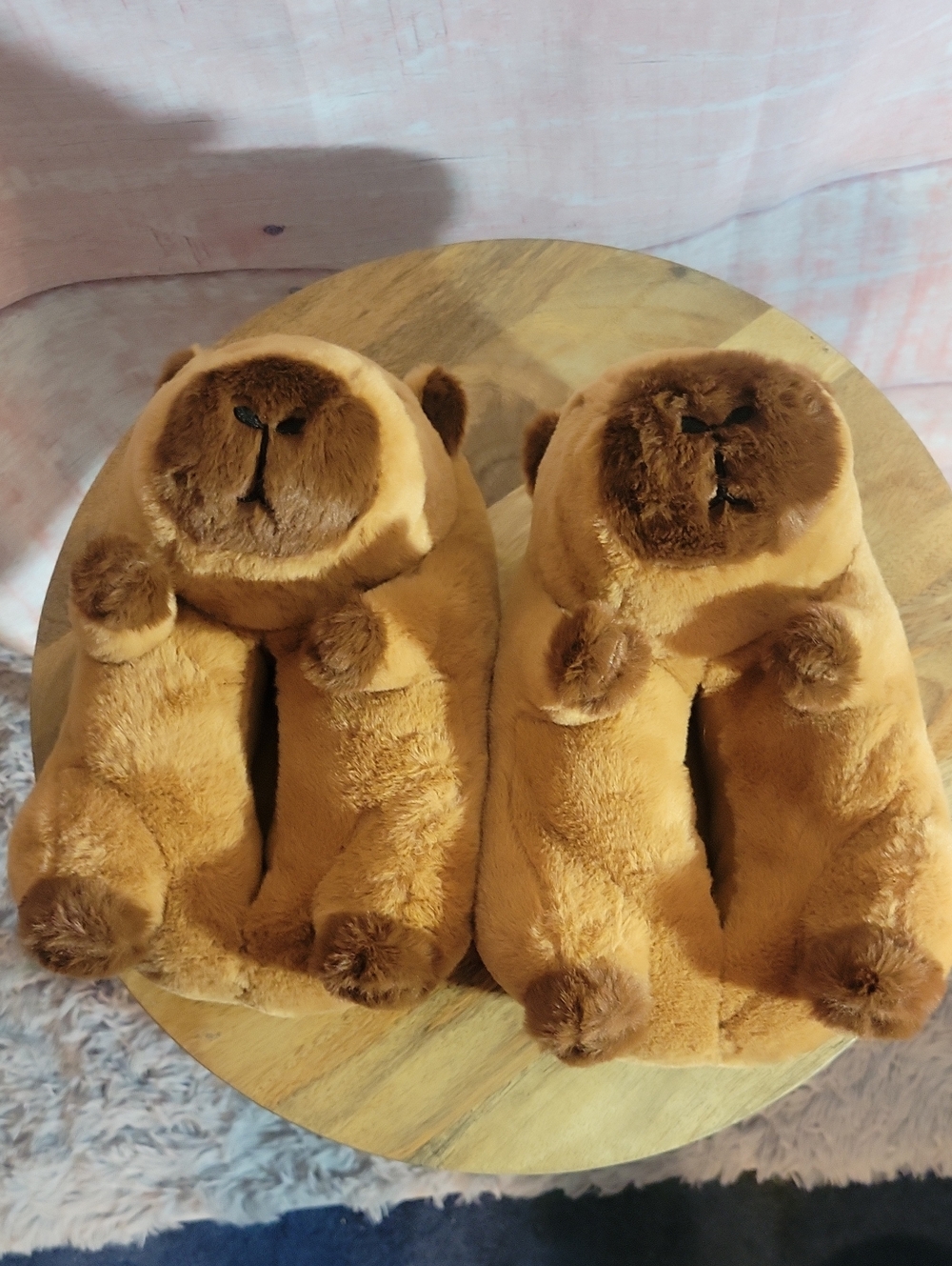 Capybara Slippers